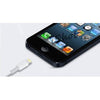 Apple iPhone 5 New 8'Pin "Lightning" USB Data